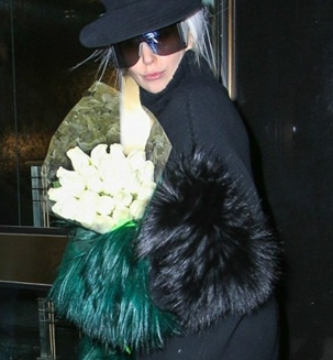 Lady Gaga's green fur gloves steal the spotlight, love and pride, career decline.jpg