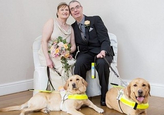 Guide dog as "matchmaker" British blind men and women fall in love and get married.jpg