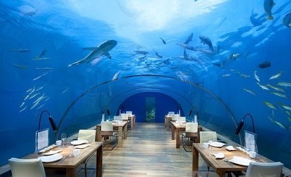 The most beautiful restaurant in the world Maldives Dream Undersea Restaurant.jpg