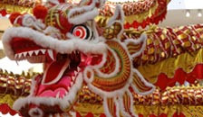 Dragon 母老虎.jpg