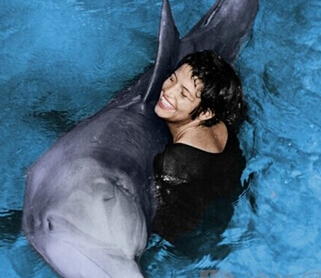 Dolphin fell in love with a female language teacher and committed suicide after being separated .jpg