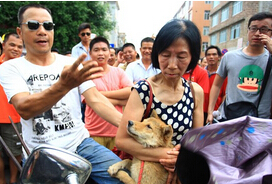 Dog meat prices soared in protests against dog killing.jpg