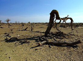 The chairman of Nestlé’s water shortage is more urgent than climate change.jpg