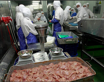 Many fast foods stopped purchasing from Shanghai Fuxi. The impact has spread to Japan.jpg