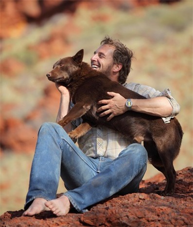 新片推荐:感人故事《红犬历险记》Red Dog--感