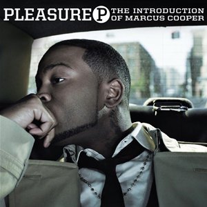 节奏布鲁斯:Pleasure P - Did you wrong_英文歌