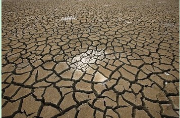 Current affairs news: South Korea suffered a drought once in a century.jpg