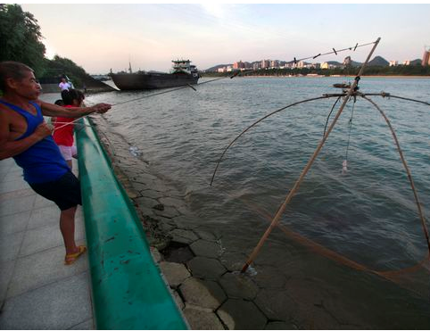 Pay attention to society: Liuzhou offers rewards for fishing and killing piranhas.jpg