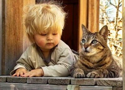 双语故事:一猫一世情 A Boy and His Cat (1).jpg