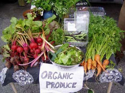 Research says that organic food is not "healthier".jpg