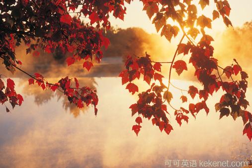 Appreciation of classic prose translation: Yu Dafu's Autumn in the Old Capital.jpg