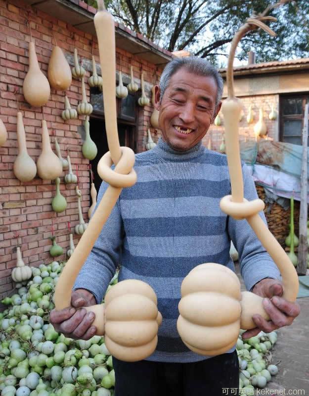 What kind of gourd attracts collectors?.jpg