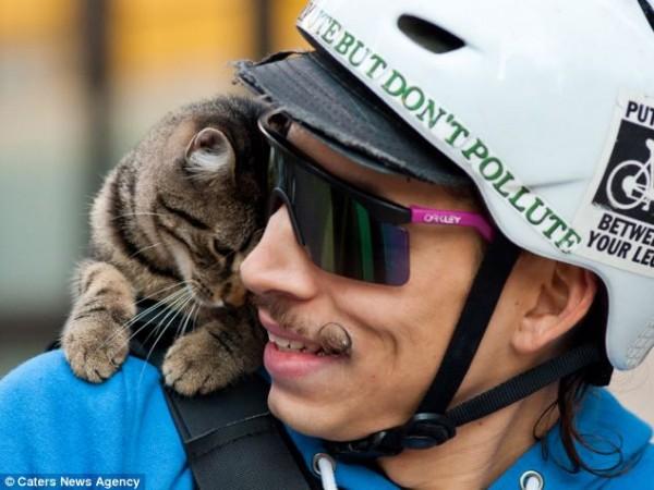 U.S. cute cats love work: courier owners go out and deliver couriers together.jpg