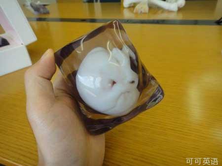 The Japanese company launched a 3D fetal model .jpg