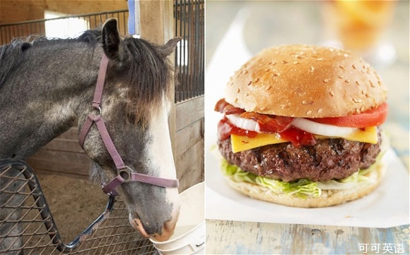 挂牛头卖马肉 千万牛马肉汉堡被召回.jpg