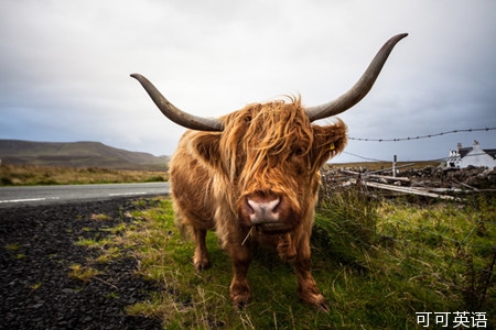 旅游 英语 天天说 第210天: 如何点餐 _行业 英语 口