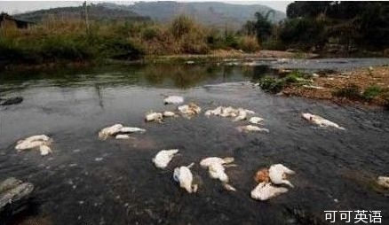 Sichuan dead duck was complained. After drinking the pork rib soup, I came back to the old duck soup.jpg