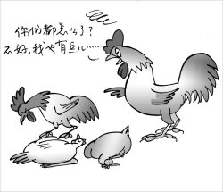 Health department: Two people in China died of a new type of bird flu.jpg