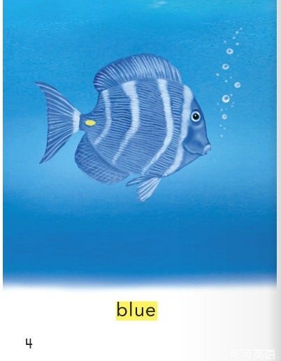 鱼英语单词 各种鱼的英文单词大全_x开头的鱼类单词