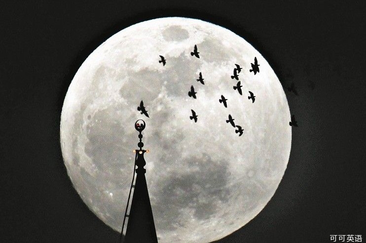 The "Mid-Autumn Festival" can really make people appreciate the moon without regrets.jpg