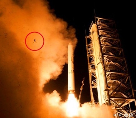 Rushing to the sky: The frog lifted off with NASA rocket launch.jpg