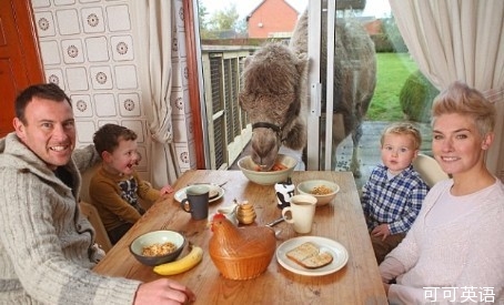 Camels are also cute. Come and have breakfast with the owner. .jpg