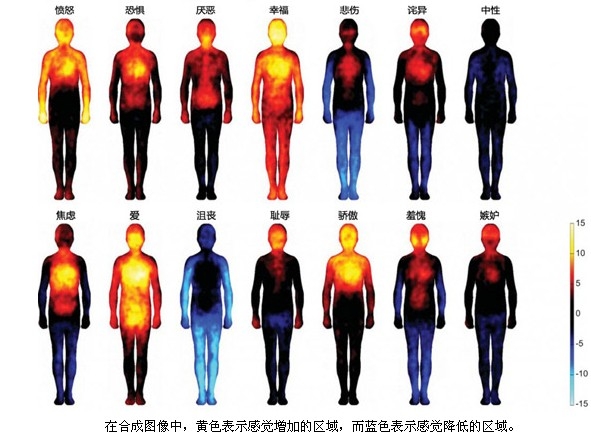 The medical atlas depicts the feeling of happiness and shame.jpg