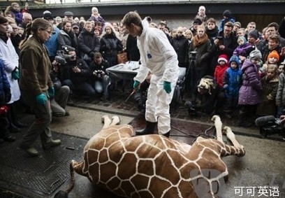 Condemnation for the ban on inbreeding at the Danish zoo and execution of giraffes.jpg