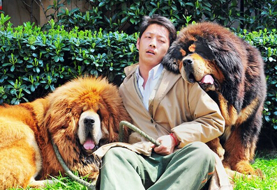 "People's Daily" issued an article criticizing uncivilized dog raising.jpg