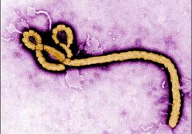 The World Bank allocates US$200 million to fight Ebola.jpg