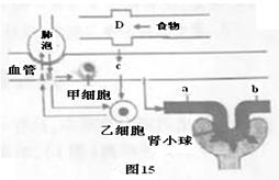 2014年湖北省恩施州中考生物真题试卷附答案