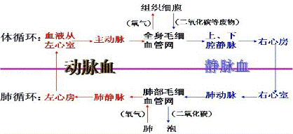 2014年湖南省岳阳市中考生物真题试卷附答案