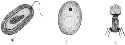 2014年湖南省岳阳市中考生物真题试卷附答案