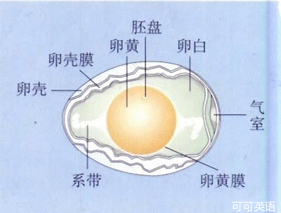2014年湖南省岳阳市中考生物真题试卷附答案