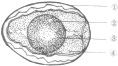 2014年湖南省岳阳市中考生物真题试卷附答案