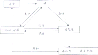 2014年广东省梅州市中考生物真题试卷附答案