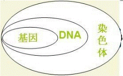 2014年湖南省邵阳市中考生物真题试卷附答案