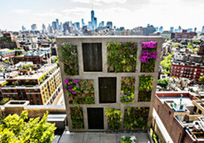 Sky gardens emerge on the roofs of luxury apartments in various cities.jpg