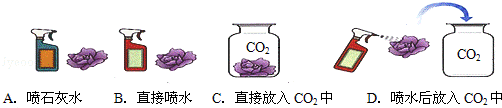 2013年云南省昭通市中考化学真题试卷附答案