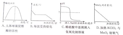 2013年浙江省湖州市中考化学真题试卷附答案