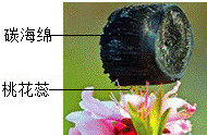 2013年广东省中考化学真题试卷附答案