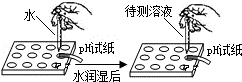 2013年广东省中考化学真题试卷附答案