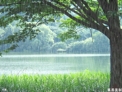 赖世雄唱歌学英语 第18期:just walking in the rain在雨中行走