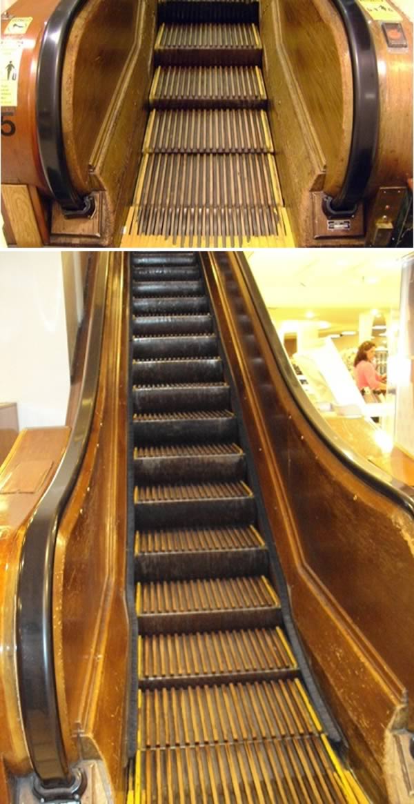 escalator6.jpg