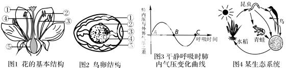 2014年四川资阳中考生物真题附答案