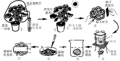 1410228281838655.jpg 2014年四川资阳中考生物真题附答案