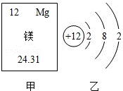 (3)镁元素与氧元素形成化合物的化学式为 mgo.