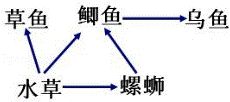 2014年安徽淮北中考生物真题附答案