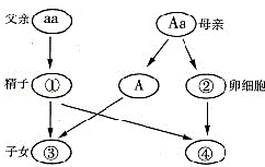2014年安徽淮北中考生物真题附答案