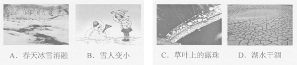 2013年辽宁省铁岭市中考物理真题试卷附答案